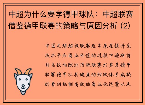 中超为什么要学德甲球队：中超联赛借鉴德甲联赛的策略与原因分析 (2)